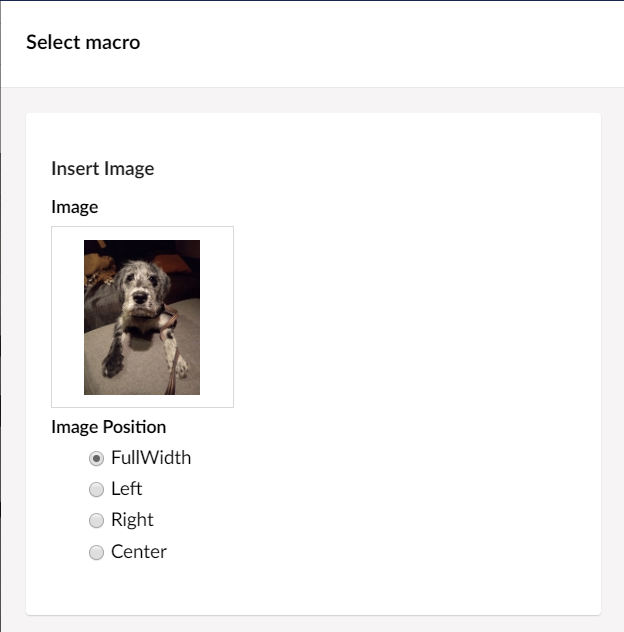 Image Position Radio Button Options