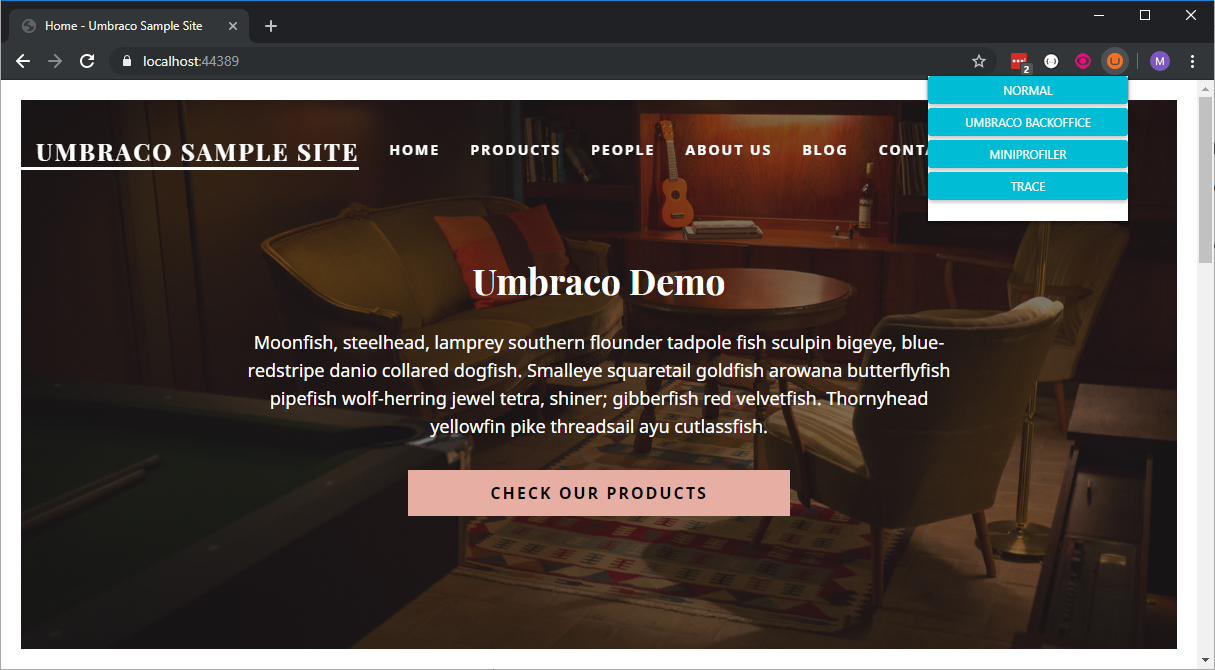 Umbraco Productivity Tool