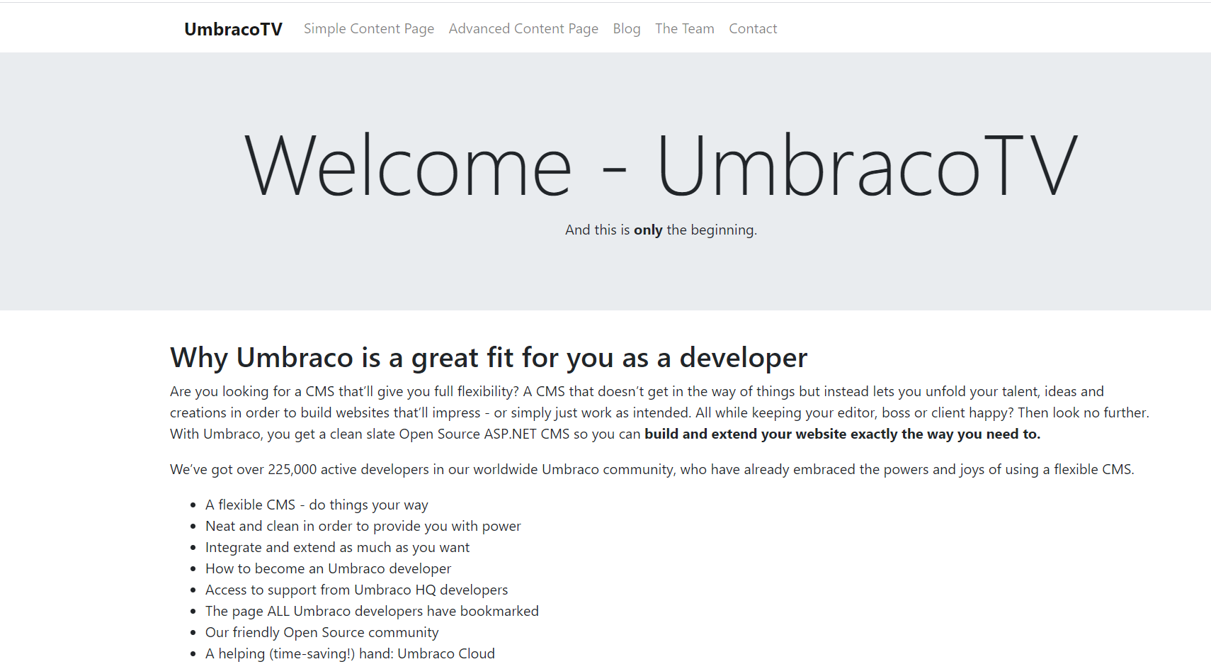 Custom Umbraco Template