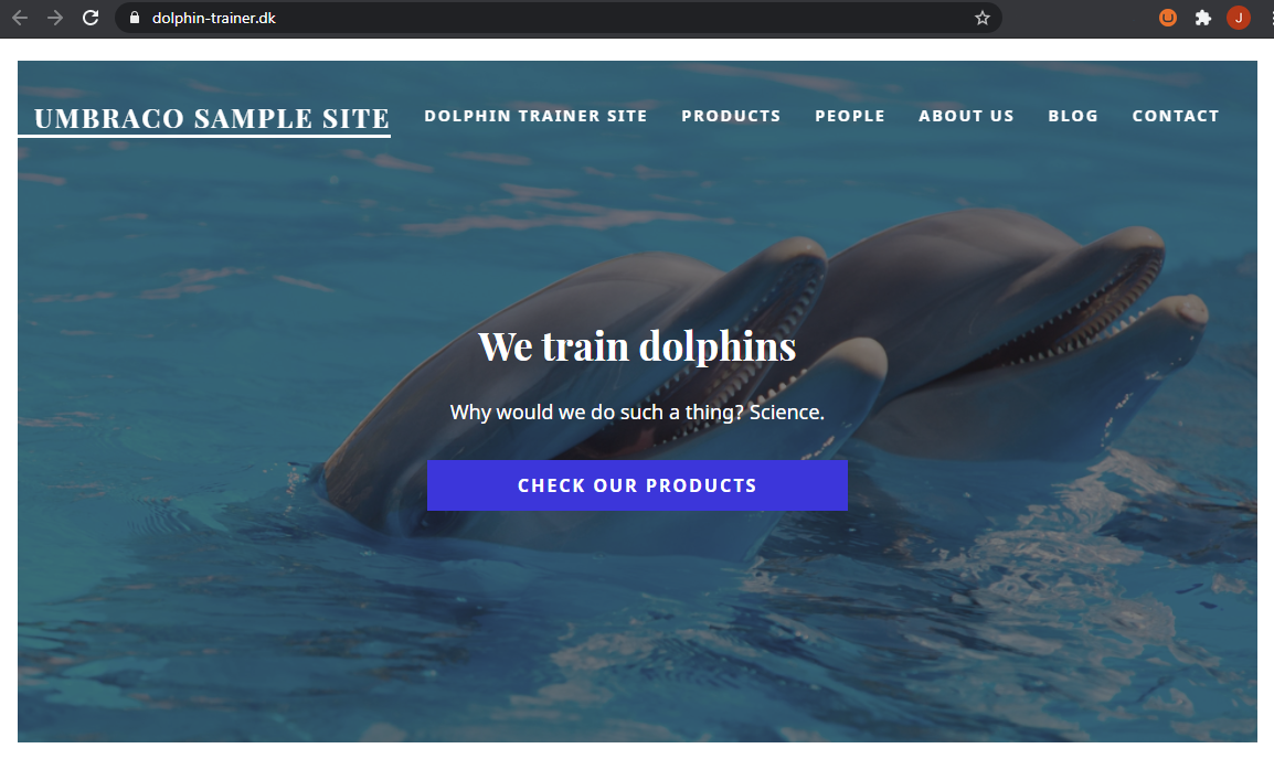 Dolphin site