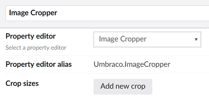 Image Cropper Data Type