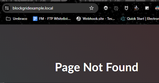 Page Not Found