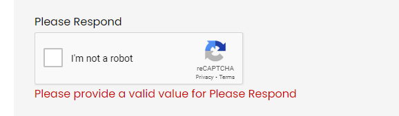 Invalid error message on recaptcha on form on front end