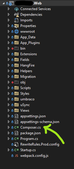 Screenshot of my project file structure in Visual Studio