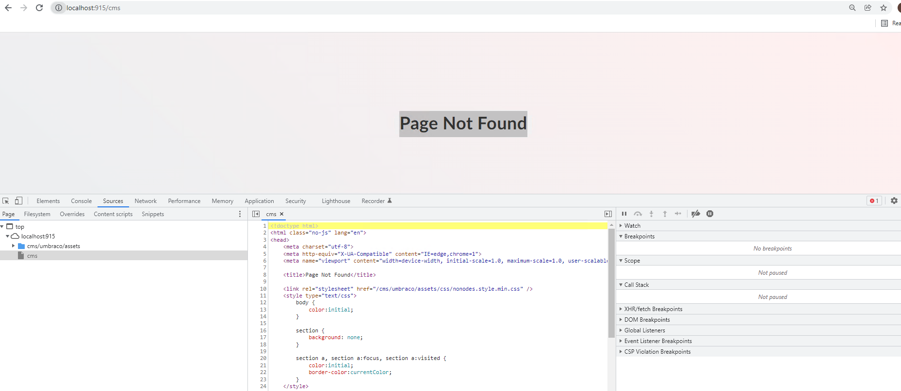 Page Not found