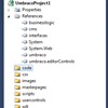 Visual Studio 2010 Project Template