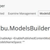 Zbu.ModelsBuilder