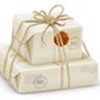 Umbraco Courier